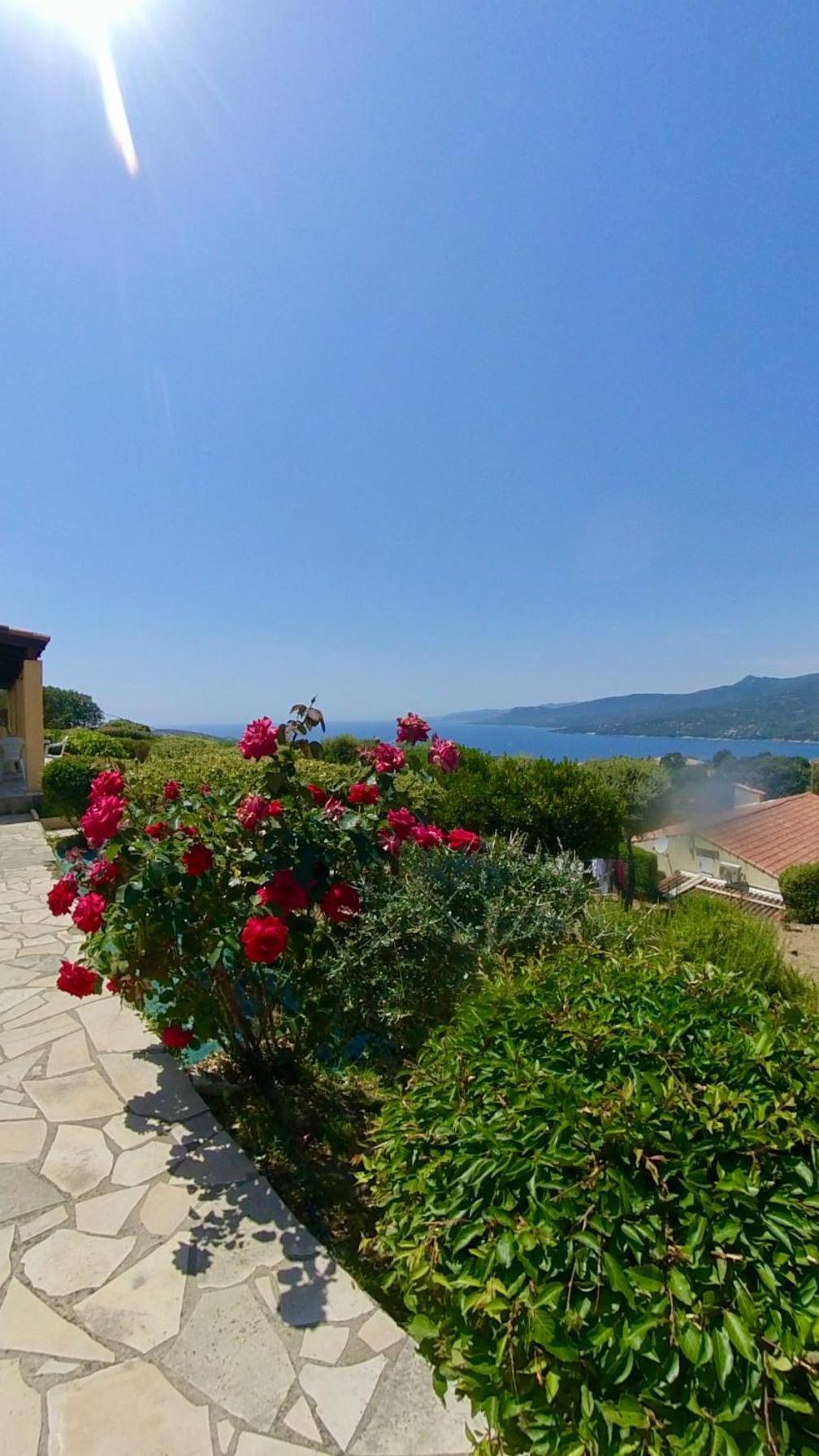 Residence Ile De Beaute Propriano  Exterior foto