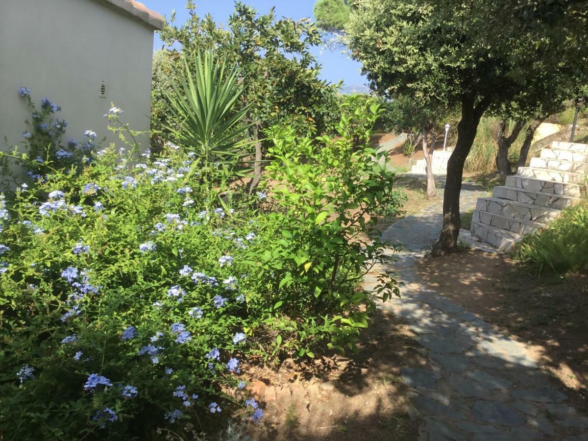 Residence Ile De Beaute Propriano  Exterior foto
